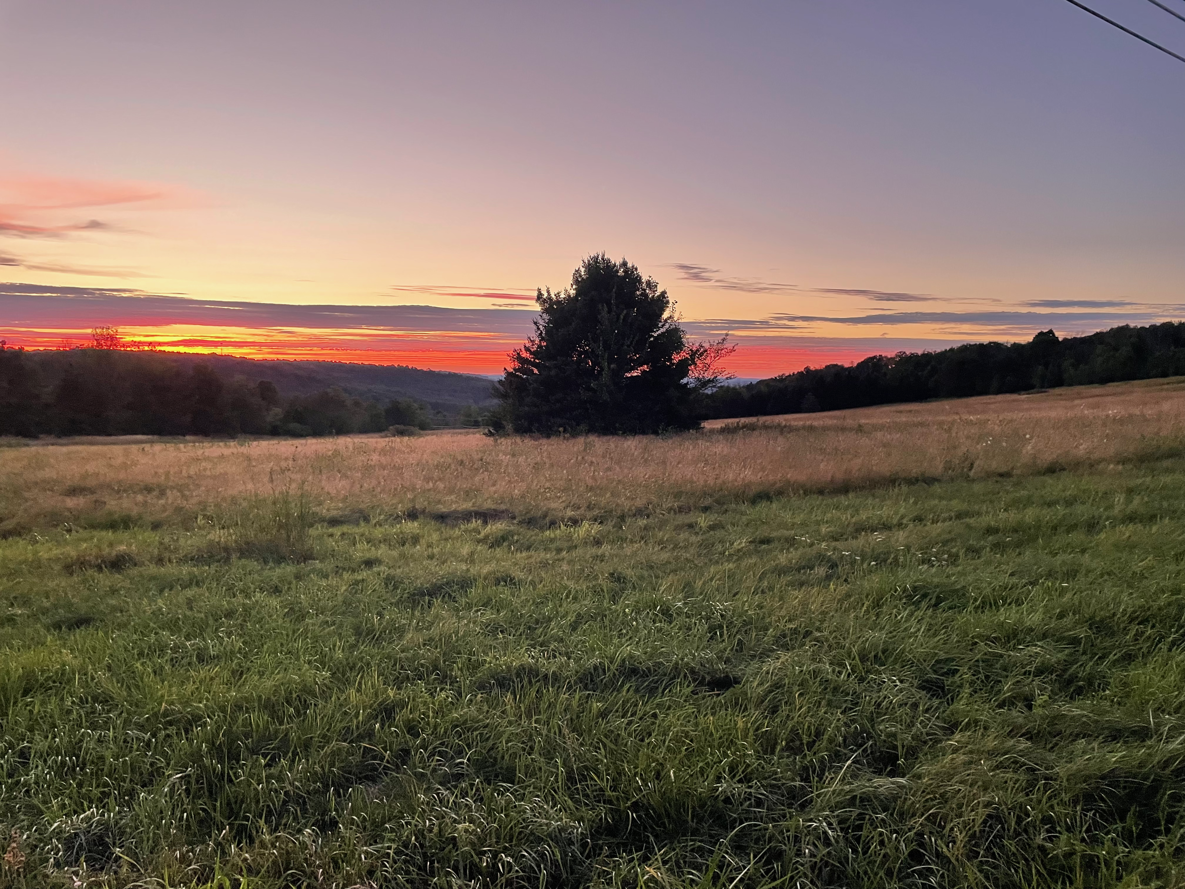 Scenic landscape view in the evening