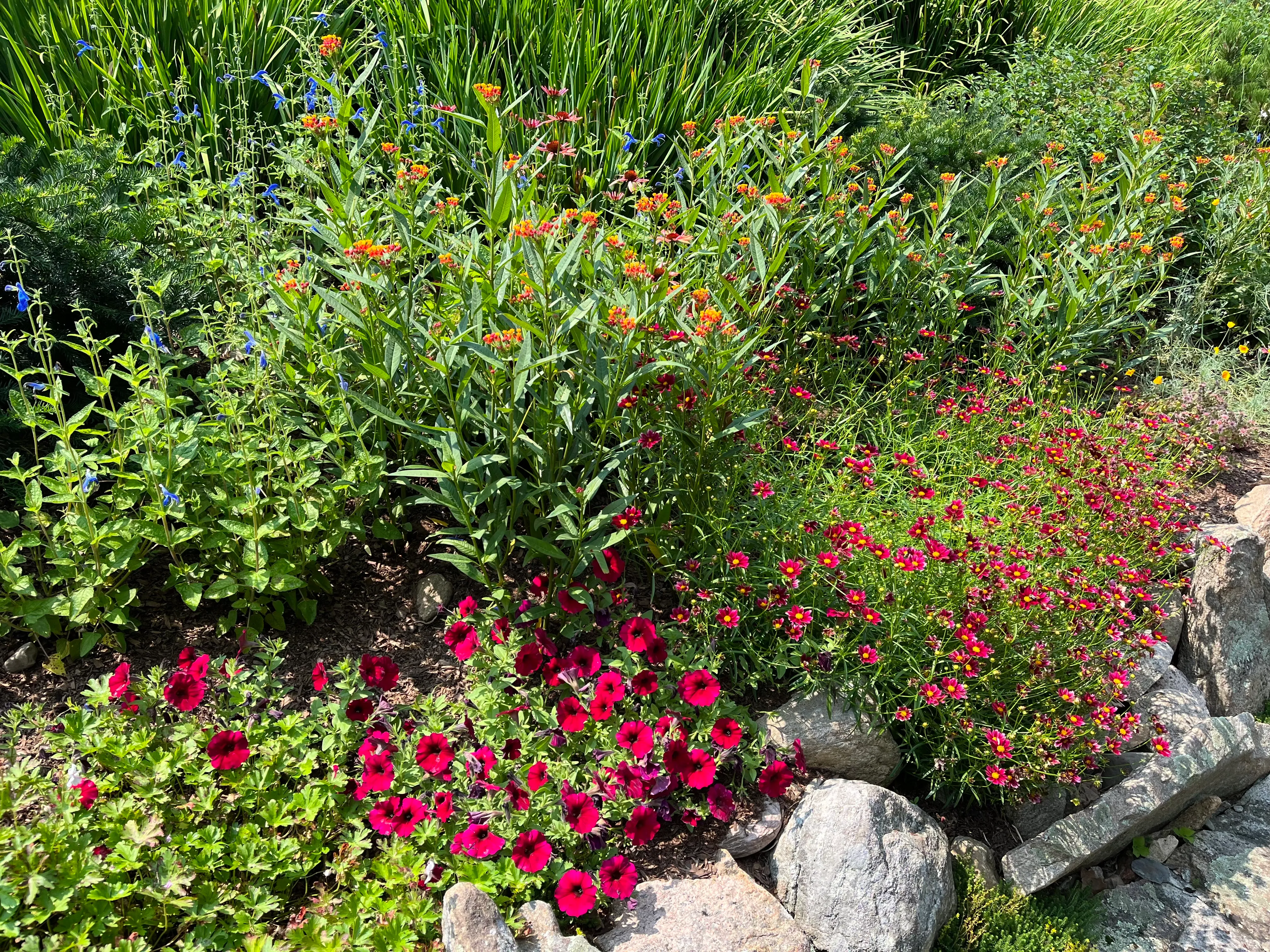 Beautiful garden patio